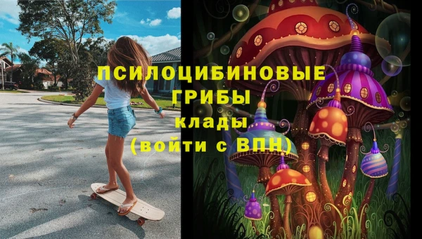 МДПВ Армянск